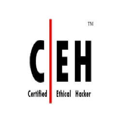 Certified Ethical Hacker (CEH)